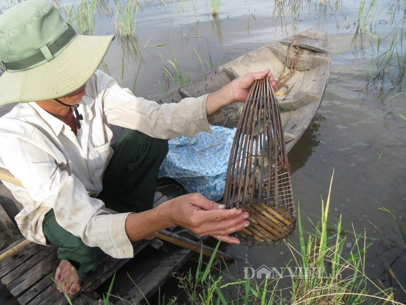 Dỡ (thăm) xà di.