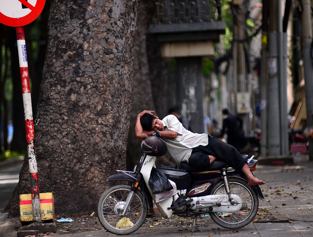 Từ lâu, hàng cổ thụ trên đường Tôn Đức Thắng trở thành hình ảnh quen thuộc với người Sài Gòn. Bác xe ôm ngủ trưa dưới gốc cây.