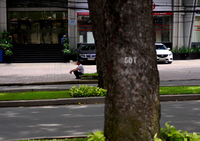 Một tài xế ngồi nghỉ trưa dưới gốc cây cổ thụ.