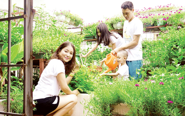 Vườn rau sạch với đủ loại cây, hoa ở Thành phố Lạng Sơn.