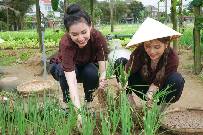 Hai người đẹp hào hứng với các hoạt động nhổ cỏ, cuốc đất, chăm sóc vườn rau.