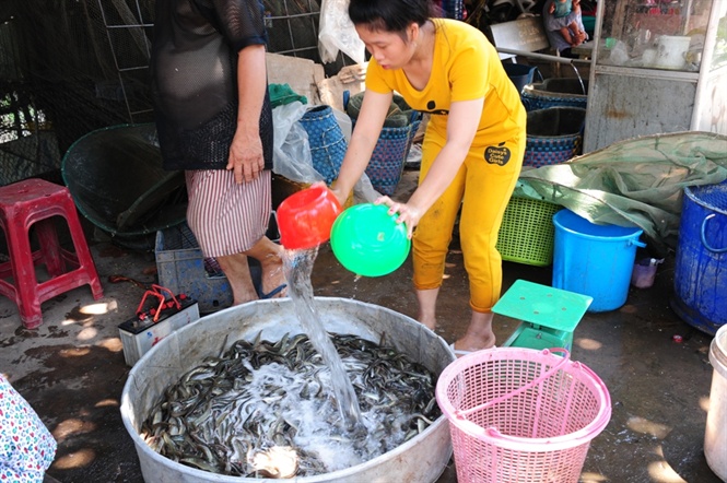 Sản vật ở đây toàn là đồ tự nhiên và cách mua bán ở đây vô cùng vui vẻ, hào sảng. Không có cảnh tranh cãi, mọi người hòa đồng, cởi mở.