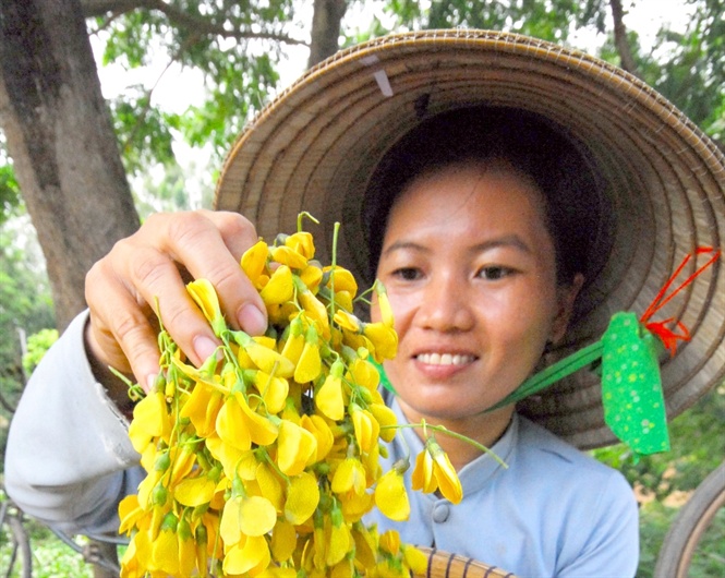 ….đến các loại rau đồng như bông súng, điên điển, rau nhút