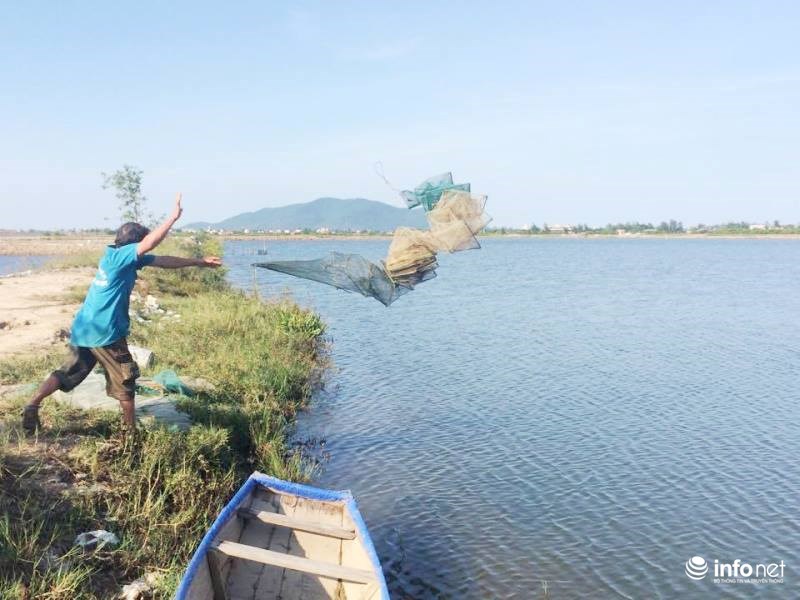 Hệ thống đầm hồ nuôi tôm giống bố mẹ tại Công ty Thông Thuận.