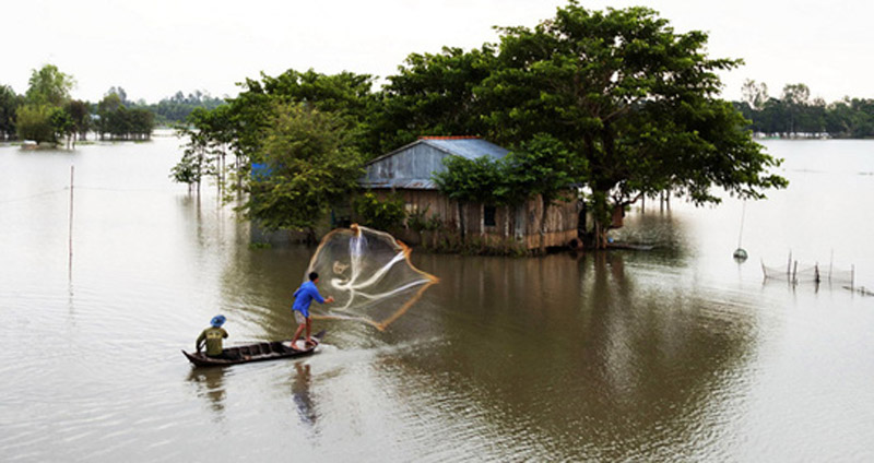 Hãy dành hẳn một ngày để ngao du trên sông Vàm Nao (huyện Phú Tân, An Giang), được mệnh danh là vựa cá bông lau, cá hô quý hiếm của miền Tây.