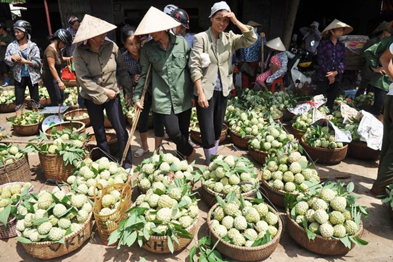 Na Lạng Sơn được bày bán ở chợ. Ảnh: Facebook Nguyễn Nga