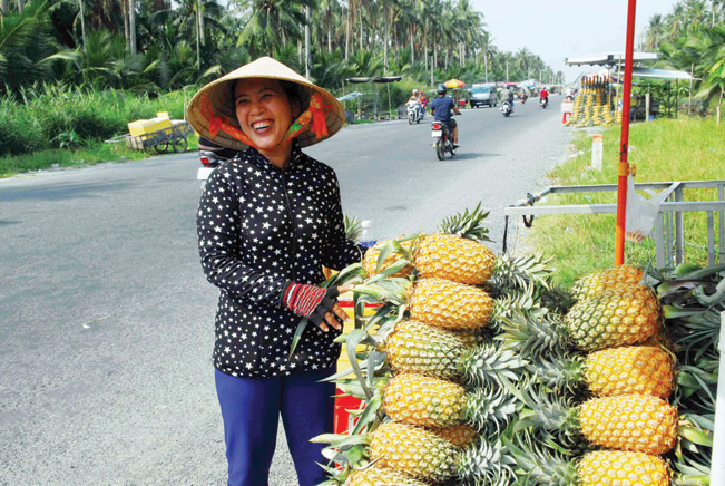 Dứa Tắc Cậu tươi được bán với giá từ 12.000 - 15.000 đồng/trái.