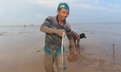 Anh Thái được mệnh danh là “cao thủ” săn cá chình mỡ.