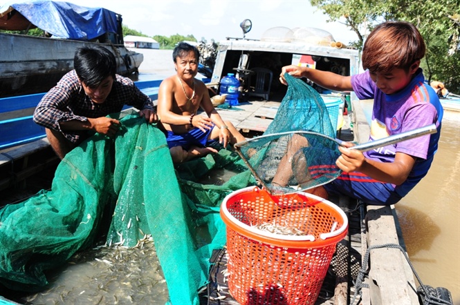 Cũng là chợ như bao vùng quê khác, nhưng chợ Phú Hội có nét độc đáo riêng nhóm chợ lúc 3 giờ sáng và 12 giờ trưa.