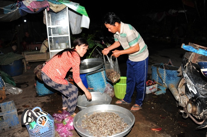 Riêng các loại cá khác thì được thu mua lúc chợ chiều.