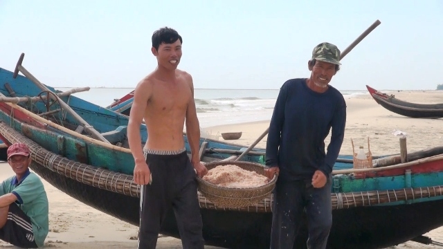 Ruốc biển được ngư dân huyện Gio Linh (Quảng Trị) đánh bắt.