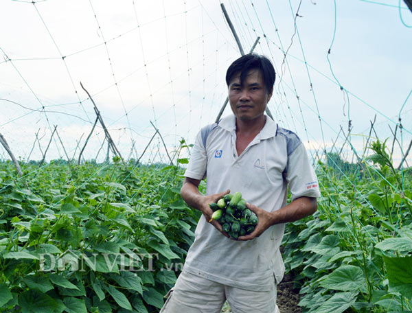 Nhờ sản xuất hiệu quả, hiện tổng số vốn vay tại Ngân hàng CSXH của anh Giang là 100 triệu đồng (Ảnh: Chúc Ly)