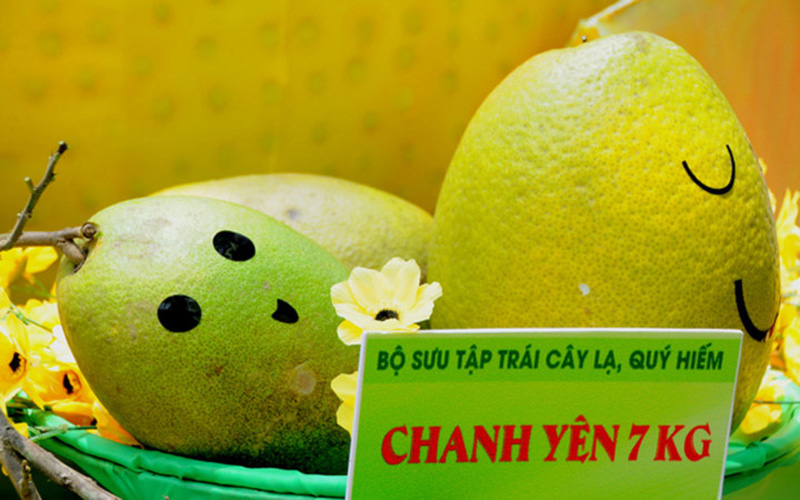 Trái chanh yên có trọng lượng tới 7kg (Ảnh: Ngôi sao)