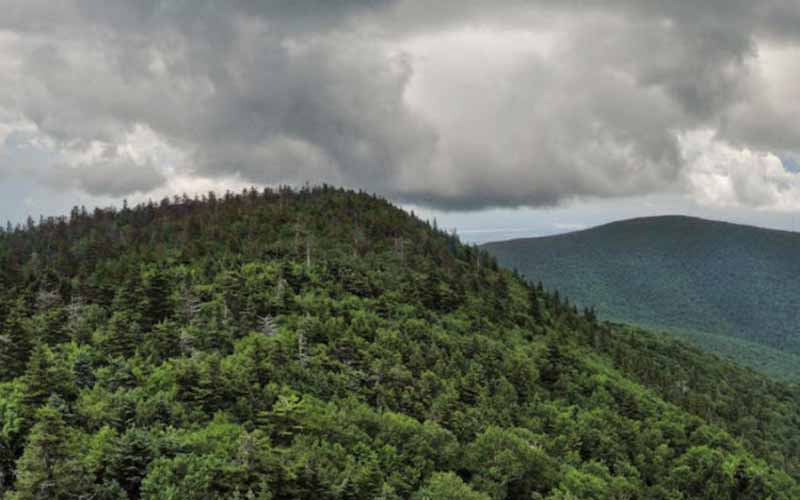 Devil’s Path, New York, Mỹ: Lối đi tử thần có chiều dài 50km với 6 đỉnh núi nằm giữa các thung lũng sâu. Theo số liệu thống kê chính thức, vài người thiệt mạng tại đây mỗi năm.