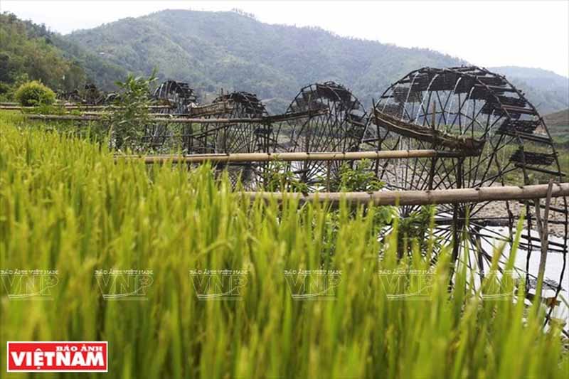 Những chiếc cọn nước khổng lồ với vòng quay chậm rãi từ lâu đã gắn liền với con sông Nậm Mu trong mát, những cánh đồng lúa chín nặng bông. Đây cũng là một công cụ đặc biệt hỗ trợ đắc lực trong công việc dẫn nước tưới cho bà con dân bản.