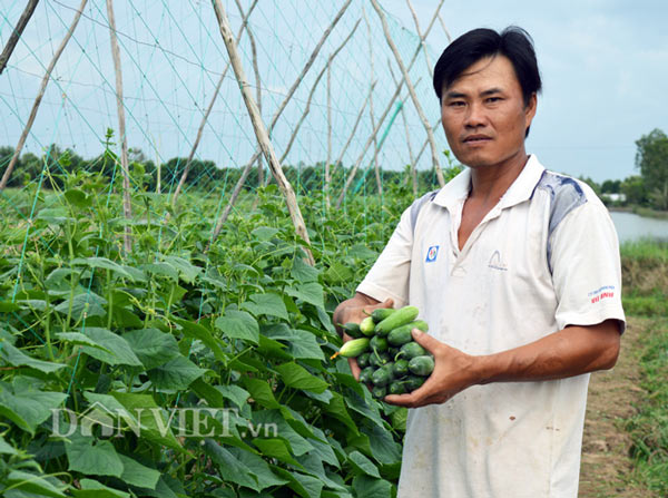 Trung bình mỗi năm gia đình anh Giang thu lãi trên 200 triệu đồng (Ảnh: Chúc Ly)