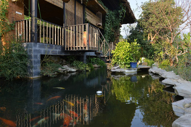 Phía trước của ngôi nhà được thiết kế một bể cá bao quanh, vừa làm đẹp khuôn viên vừa có tác dụng làm mát ngôi nhà.