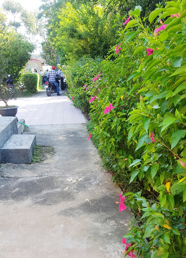 Hoa lá khoe sắc tạo cho khu nhà vườn này rất xanh mát.