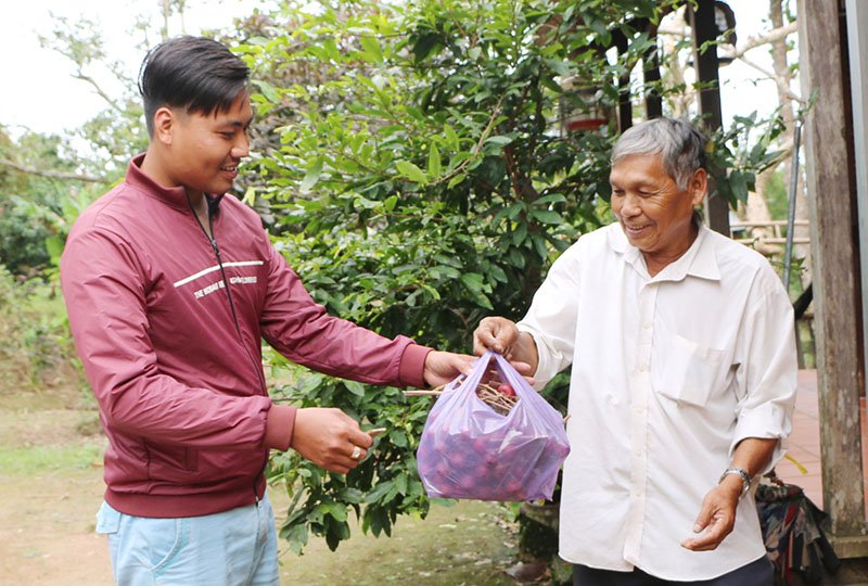 Anh Trung Thành Trọng cho biết: “Lần đầu tôi thấy cây nhãn có màu tím độc đáo này. Bề ngoài nó rất đẹp, ăn vào có vị như các giống nhãn bình thường khác”.