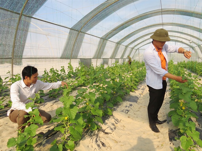 Phát triển kinh tế tuần hoàn trong nông nghiệp ở Việt Nam Một số vấn đề