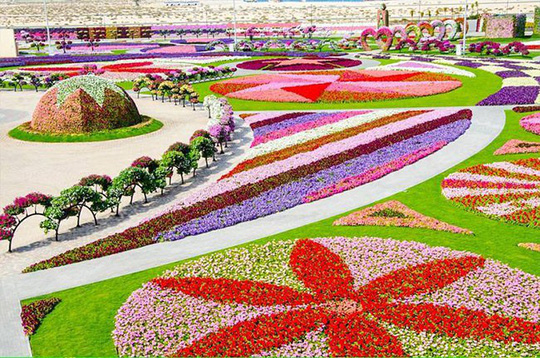 Chiêm ngưỡng 6 vườn hoa đẹp nhất thế giới | Dân Việt