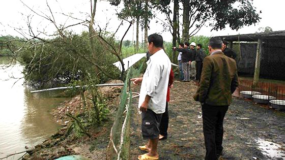 Đoàn kiểm tra xuống hiện trường tìm hiểu nguyên nhân cá và vịt chết. Ảnh: Nguyễn Trang