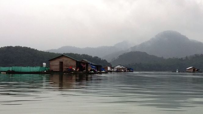 Những làng nuôi cá lồng bè hình thành nơi thượng nguồn ơi thượng nguồn Hữu Trạch, nằm trong lòng hồ Bình Điền.