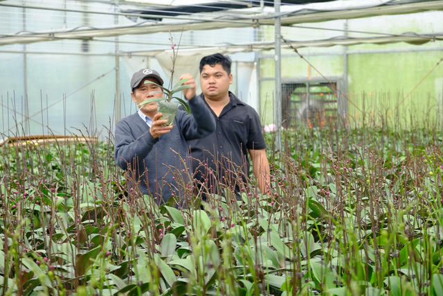 Ngoài chuyển giao công nghệ cho bà con nông dân, Trung tâm Công nghệ sinh học TP Đà Nẵng đã nghiên cứu và cho ra đời nhiều giống hoa phù hợp với khí hậu của địa phương.