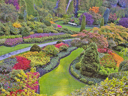 Mãn nhãn 55 mẫu thiết kế sân vườn vườn hoa nhỏ đẹp cực mới lạ