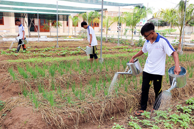 Học sinh Trường THPT Lương Thế Vinh chăm sóc vườn rau.