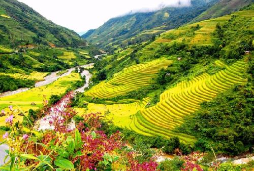 Thung lũng Mường Hoa, Sa Pa, Lào Cai. Ảnh: du lịch Sapa