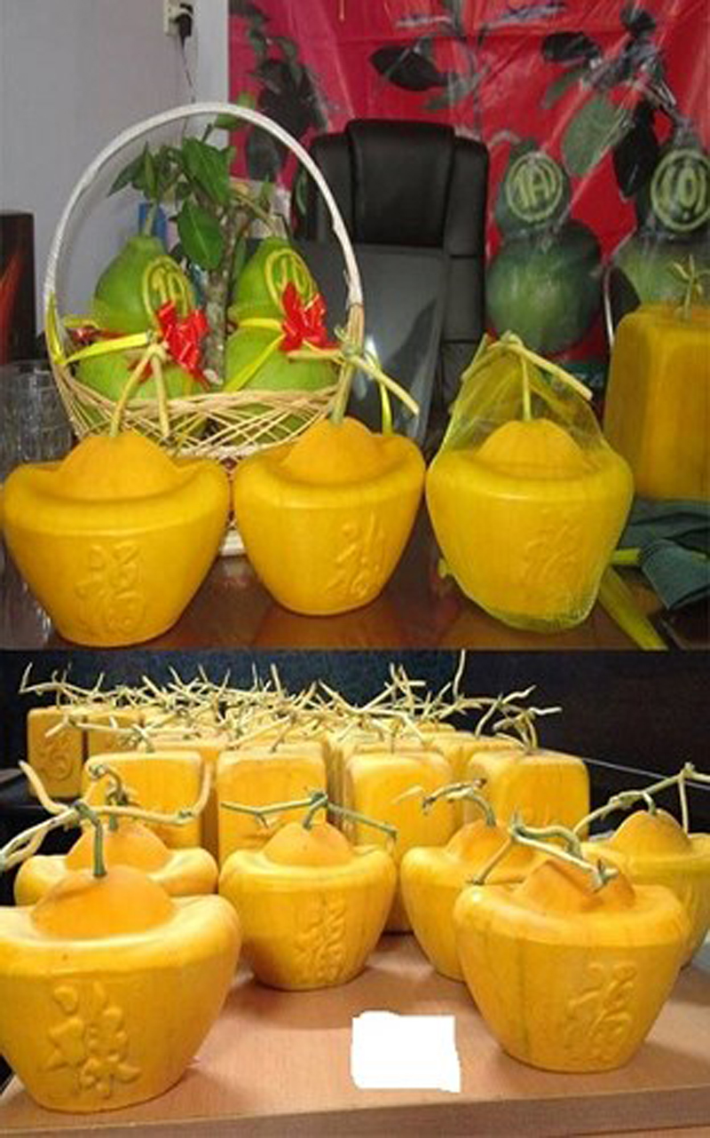 Dưa hấu thỏi vàng, dưa hấu vuông là loại trái cây có giá cao tại thị trường Việt dịp Tết Mậu Tuất 2018. Ảnh: Vietq