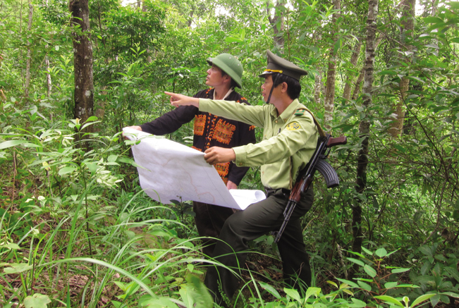 Lực lượng kiểm lâm gắn bó chặt chẽ với nhân dân để bảo vệ rừng.