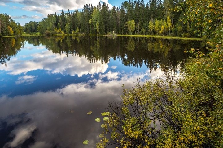 “Hồ thu lạnh, nước trong veo” bên trong lãnh thổ rộng lớn của tu viện Valaam.
