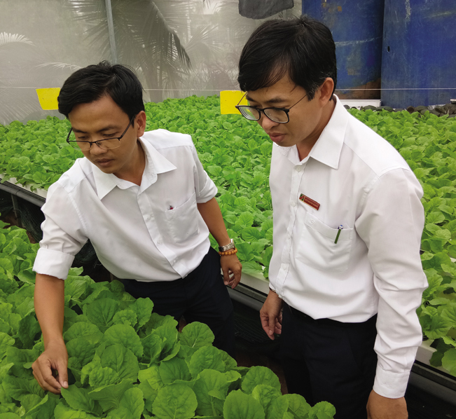 Anh Lâm Ngọc Tuấn (bên trái) cùng cán bộ Ngân hàng Agribank chi nhánh 9 (Q.9, TP.HCM) thăm vườn rau thủy canh của gia đình.