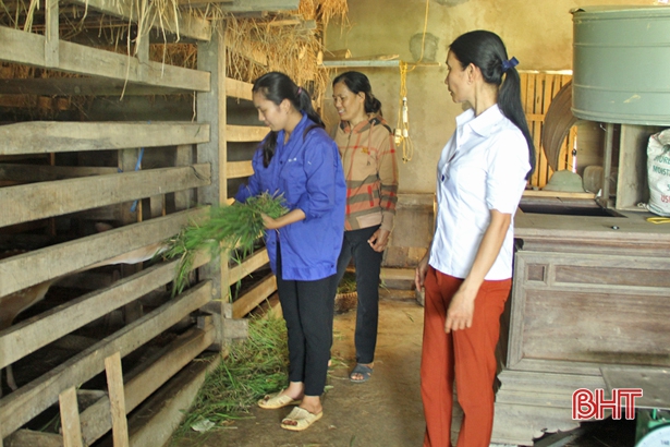 Với lợi thế vườn đồi, chị Trần Thị Lợi ở xã Sơn Thủy (Hương Sơn) đã trồng cam, chè kết hợp nuôi hươu, trâu, bò, gà để mỗi năm cho thu nhập trên 300 triệu đồng...