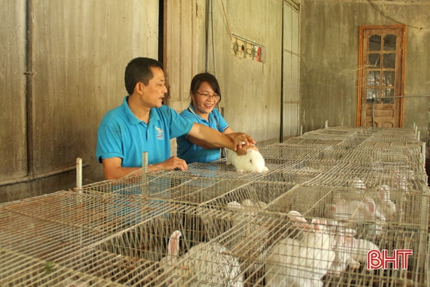 Mô hình gia trại muôi gà, bồ câu và thỏ New Zealand của chị Nguyễn Thị Soa ở thôn Đông Hà, xã Sơn Hà (Hương Sơn) mỗi năm cho thu nhập trên 300 triệu đồng.