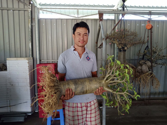 Anh Trần Duy Phong cho biết khi tạo được cây sứ 