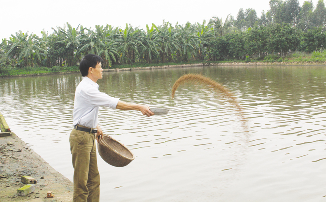 Được vay vốn Quỹ HTND, nhiều hộ ND trên địa bàn huyện Ninh Giang (Hải Dương) đầu tư nuôi thủy sản hiệu quả. (Ảnh Thu Hà)