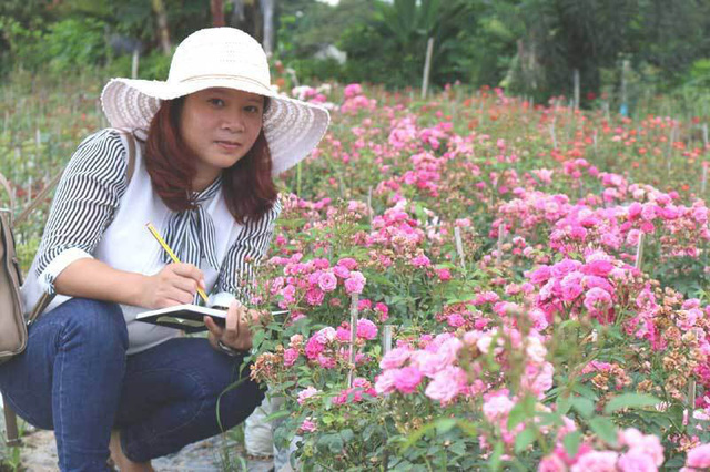 Chị Tuyết dự tính sẽ tiếp tục mở rộng diện tích vườn hoa để có nguồn nguyên liệu làm trà, đáp ứng được một phần nhu cầu của thị trường.