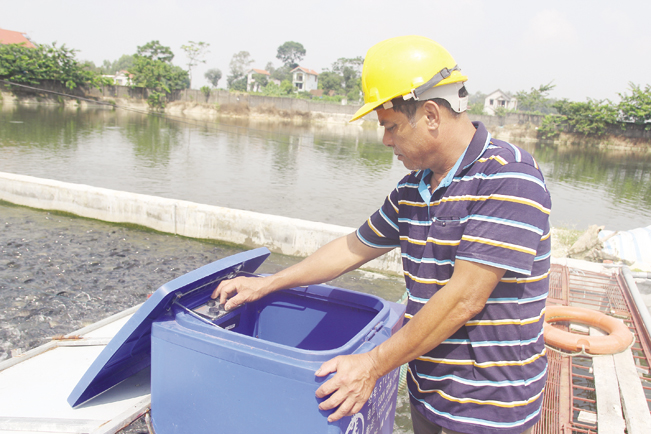 Nông dân tìm hiểu mô hình nuôi cá tạo sông trong ao, được du nhập từ nước ngoài.