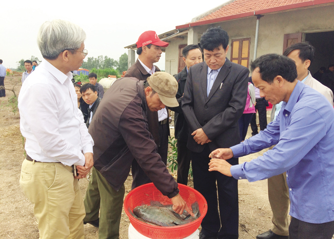 Đoàn công tác kiểm tra mô hình nuôi cá rô phi theo VietGAP ở huyện Hà Trung (Thanh Hóa).