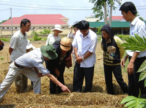 Nông dân huyện Đông Triều (Quảng Ninh) tham gia lớp đào tạo nghề trồng nấm rơm. Ảnh: I.T