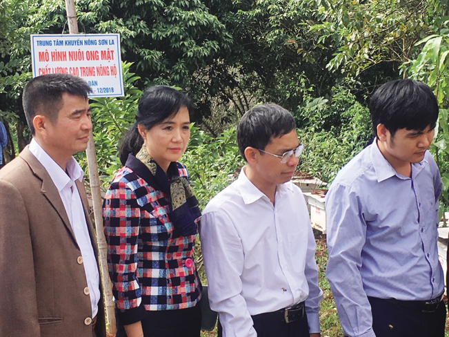 Bà Hạ Thúy Hạnh, cùng đoàn công tác thăm quan mô hình nuôi ong mật tại xã Chiềng Sơn (Mộc Châu).