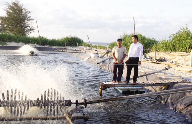 Anh Lê Minh Tuấn, cán bộ Agribank Chi nhánh huyện Hải Lăng (phải) thăm, động viên tỷ phú tôm Trương Minh Quang mở rộng sản xuất.