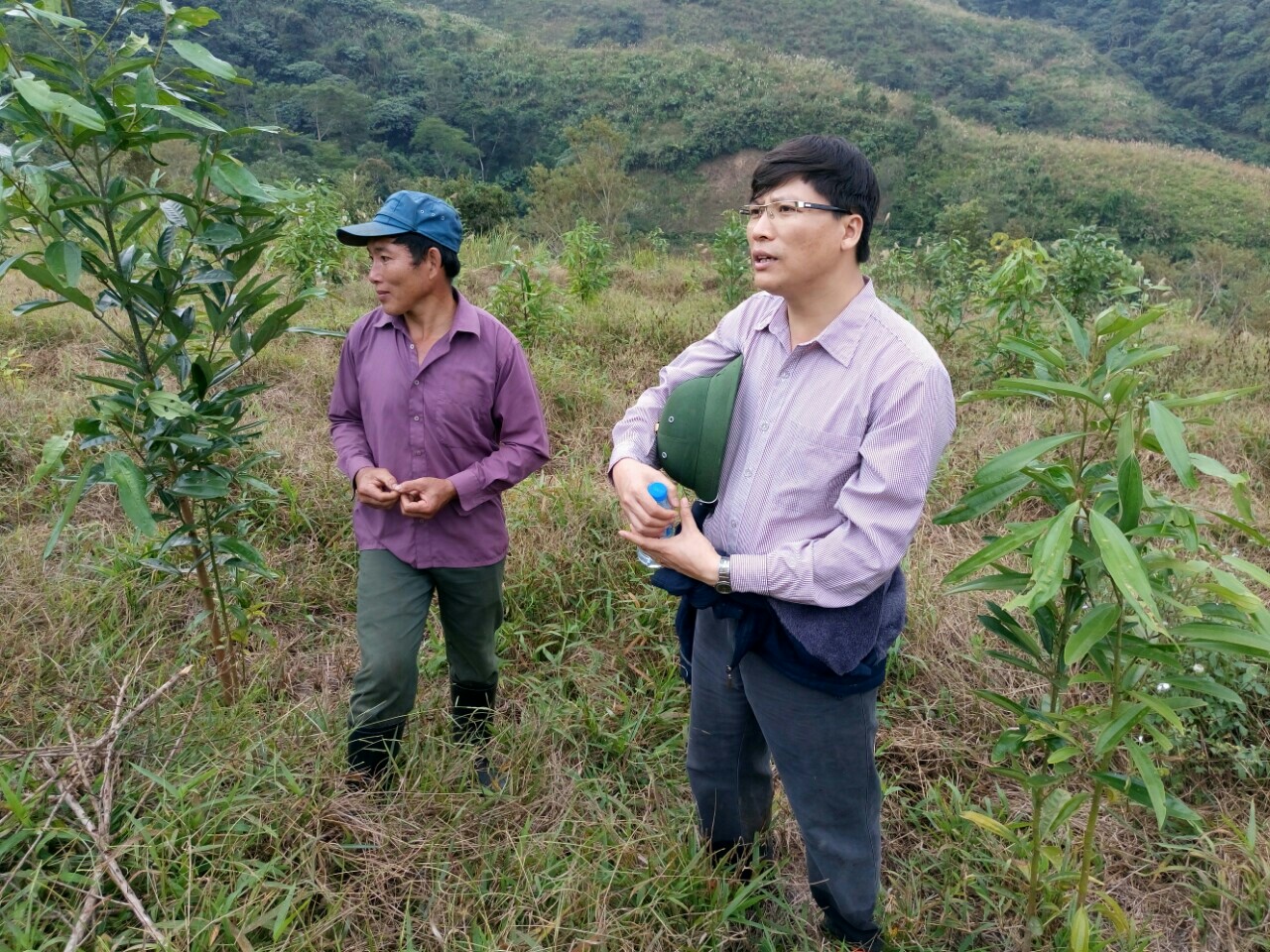 Lực lượng chức năng đi kiểm tra công tác trồng rừng.