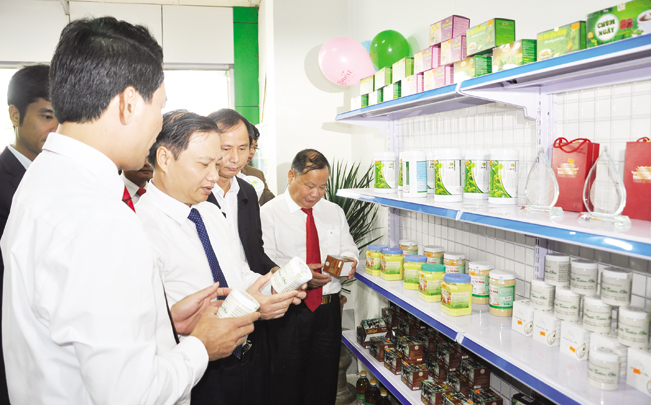 Lãnh đạo Hội NDVN thăm cửa hàng kinh doanh nông sản sạch ở Ninh Bình. TRẦN QUANG.