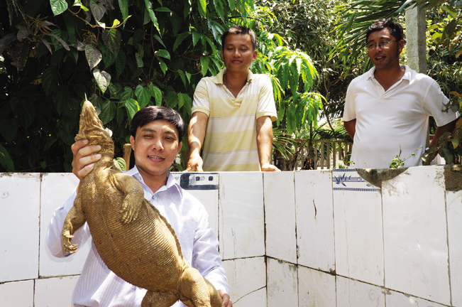 Nguyễn Thanh Tuấn đang giới thiệu kỳ đà, nhông cát trong trang trại tiền tỷ.
