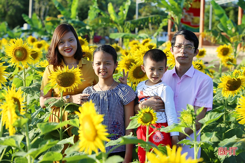 Công ty CP Lữ hành Thành Sen cho biết, từ khi hoa hướng dương nở rộ đến nay, trung bình mỗi ngày, doanh nghiệp đón khoảng 1.000 lượt khách và hàng chục tour du lịch về tham quan tại Khu du lịch sinh thái Đồng Nôi để thưởng ngoạn vẻ đẹp của loài hoa này.