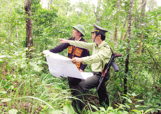 Lực lượng Kiểm lâm huyện Sơn Động luôn chủ động phối hợp với nhân dân để bảo vệ rừng. Ảnh: Thế Bắc.